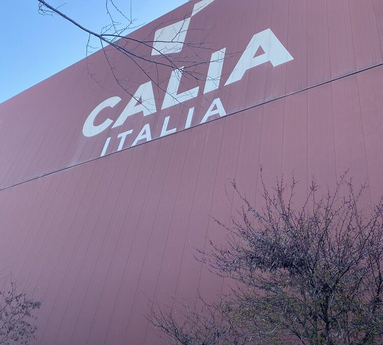 Divani di qualità? Mobili Bolognini racconta Calia Italia